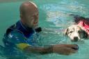 Owner and founder of Fourpaws, Antony Flint, in the pool with Ollie the dog