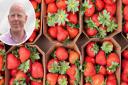 Pieter van Egmond is managing director at Norfolk fruit grower Place UK, which has produced a surplus of strawberries this summer