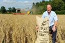 Bob King, commercial director of Great Ryburgh-based Crisp Malt, pictured during the barley harvest