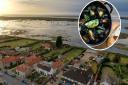The White Horse in Brancaster is hosting Mussel Fest this October.