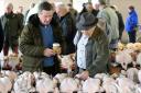 Keys Christmas poultry auction will be held at Keys’ saleground off Palmers Lane, Aylsham, on Wednesday, December 20.