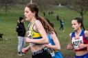 North Norfolk runner Rosie Dickety competing at Beckenham.