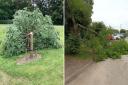 Vandals have cut down two trees in Aylsham