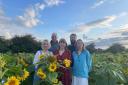 From LtR Isobel Duncan, James Duncan, Samantha Duncan, Angus Duncan and Harriet Duncan at the Sunflower field in Field Dalling, near Holt