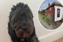 Romi the dog was killed near The Kings Head pub in Bawburgh