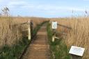 The boardwalk at Cley will be closed next week