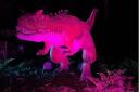 Head to ROARR! to experience dinosaurs at night