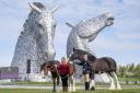 Clydesdale horses took part in the celebrations on Saturday (Jane Barlow/PA)
