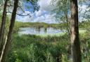 Dillington Carr SSSI (site of special scientific interest) is central to the Wendling Beck Exemplar Project, one of two Norfolk schemes to win funding