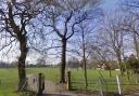 North Walsham Memorial Park Happisburgh Road entrance - Picture: Google StreetView