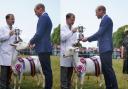 Prince William presents a trophy to handler Teigh O’Neill, from Holt, for the goat Teion Meika