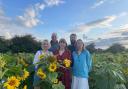From LtR Isobel Duncan, James Duncan, Samantha Duncan, Angus Duncan and Harriet Duncan at the Sunflower field in Field Dalling, near Holt
