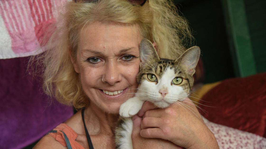 Cats' trust expects no let-up in demand as needy felines pour in 
