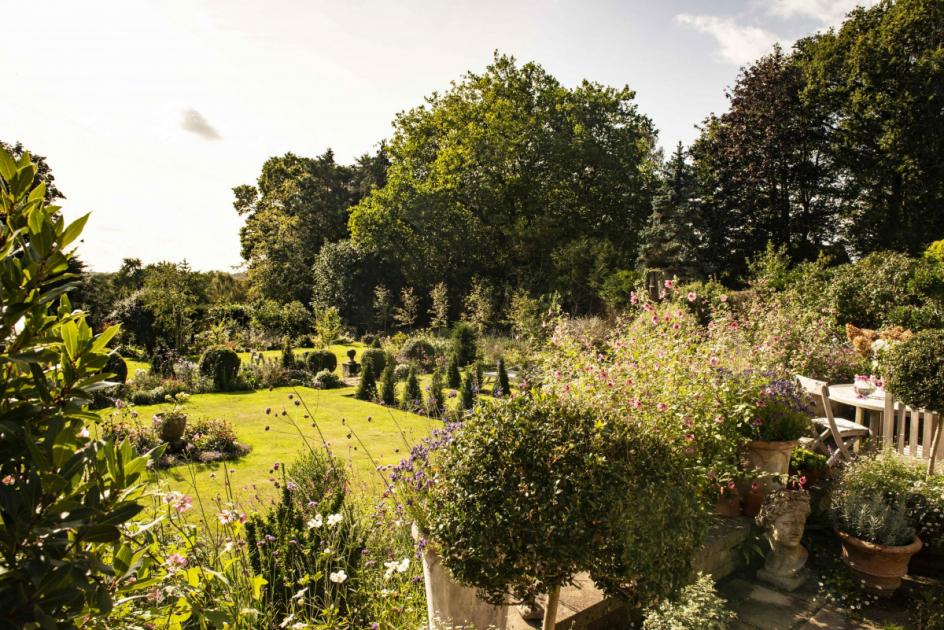 All the Norfolk secret gardens opening to the public in 2024 