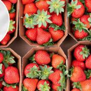 Pieter van Egmond is managing director at Norfolk fruit grower Place UK, which has produced a surplus of strawberries this summer