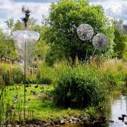 The Glade Sculpture Garden has opened at Pensthorpe Natural Park.