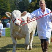 The Aylsham Show is scheduled to return on August 29, 2022
