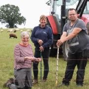 Iris van Zon, front, farm manager, with Pam Reynolds, support worker; and farm workers, Ashley Ferguson, left, and Jonathan Spooner, as they put up fences in the sheep field at Clinks Care Farm, Toft Monks. Clinks Care Farm are the recipients of over