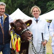 Andrew, Hayley and William Clarke from Hevingham with their beef shorthorn heifer Meonside Rosebud Ray, which won the interbreed beef cattle championship at the 2022 Aylsham Show