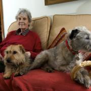Elizabeth Elwes of Burgh with her dogs Poppy and Swift who has terminal lymphoma and needs help to walk her dogs.Picture: Mark Bullimore