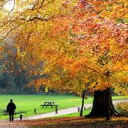 Autumn in Sheringham Park. 
Picture: ANTONY KELLY
