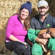 Norfolk farmer Will de Feyter and his fiancee Sarah Hovey, previously a property developer, have a launched pig business together