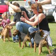 A dog show which was due to take place in Mundesley this weekend has been called off. File photo