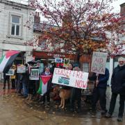 A peaceful protest calling for an end to the war in Gaza took place in Cromer on Saturday (November 18)
