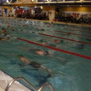 Swimmers taking part in the North Norfolk Vikings Swimming Club's annual championship