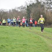 Another trail run is to take place at Stody Estate