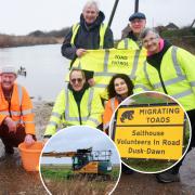 Salthouse Toad Watch patrol volunteers have forced the Environment Agency to postpone works which threatened to kill thousands of toads and frogs