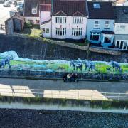 A 29-metre-long (95 foot) hand-painted mammoth mural has been installed along the East Promenade in Sheringham, north Norfolk