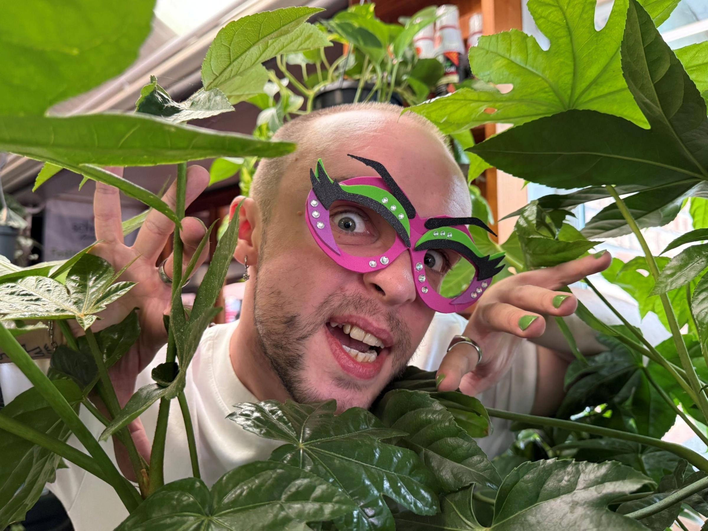 Cult classic musical about murderous plant coming to Norfolk stage